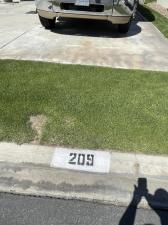 MLS #219151505DA image #0