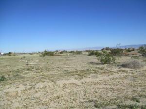 MLS #219151766DA image #0