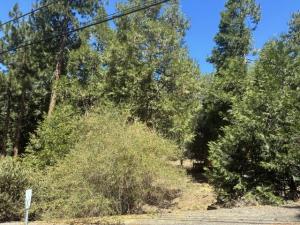 MLS #219151848DA image #0