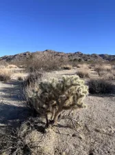 broker reciprocity