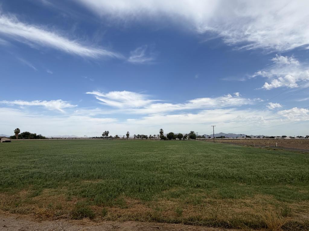 Blythe CA 92225 | MLS #219151911DA 37 MLS #219151911DA image #0