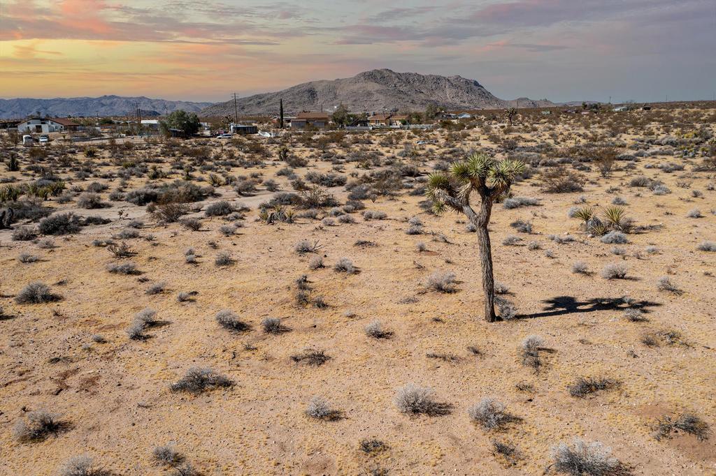 204 Avenida Del Sol Joshua Tree CA 92252 | MLS #219152149PS 45 MLS #219152149PS image #0
