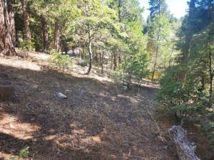 MLS #219152175DA image #0