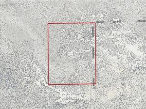 th Street West & Avenue D12 Lancaster CA 93536 | MLS #219152284DA 45 MLS #219152284DA image #0