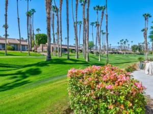 76687 Begonia Lane Palm Desert CA 92211 | MLS #219152896DA 45 MLS #219152896DA image #0