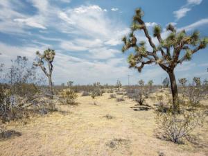 138 La Brisa Road Yucca Valley CA 92284 | MLS #219153340PS 45 MLS #219153340PS image #0