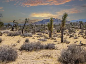 broker reciprocity