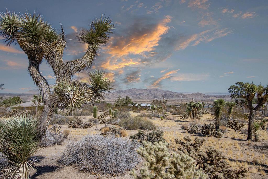 MLS #219153814PS image #0