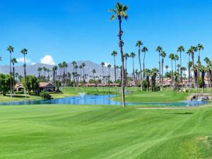 38241 Crocus Lane Palm Desert CA 92211 | MLS #219153991DA 45 MLS #219153991DA image #0