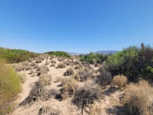 broker reciprocity