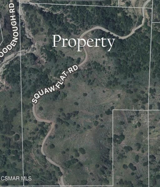 MLS #225003614 image #0