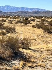 MLS #225004874 image #0