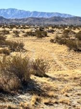 MLS #225004874 image #0