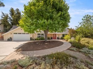 MLS #225004881 image #0