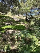 MLS #225005175 image #0