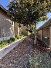 460 Arbor Lane CT #203 Thousand Oaks CA 91360 | MLS #226002944 83 MLS #226002944 image #0