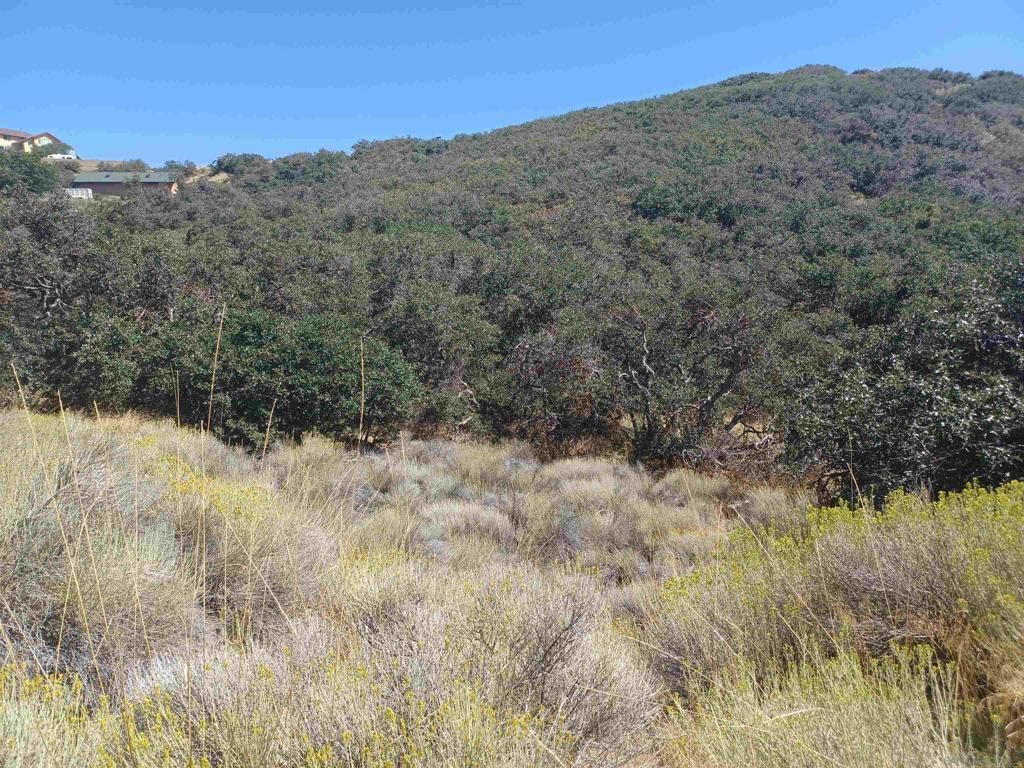 MLS #230023463SD image #0