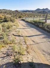 MLS #240001792SD image #0