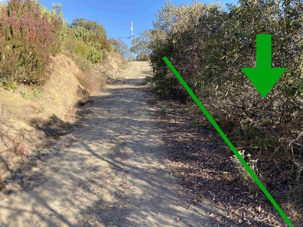 MLS #240001858SD image #0