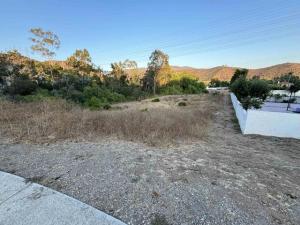 MLS #240020746SD image #0