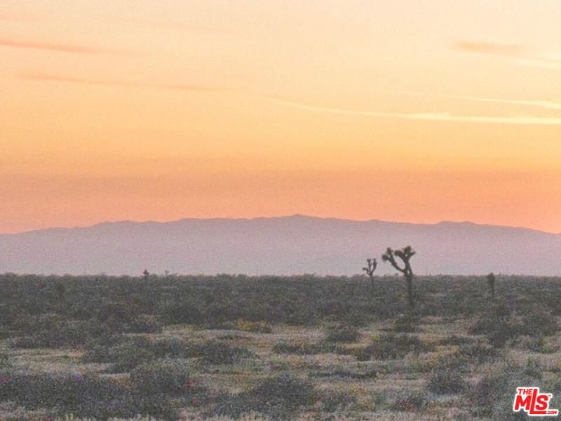 MLS #24463299 image #0