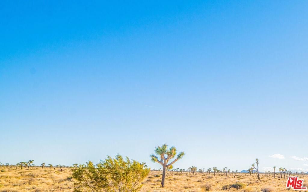 MLS #24463373 image #0