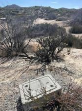 MLS #250027523SD image #0