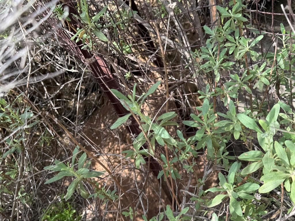 MLS #250027738SD image #0