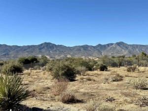 MLS #250030712SD image #0