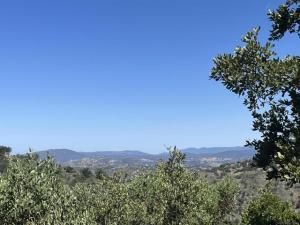 MLS #250030828SD image #0