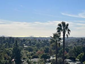 MLS #250033050SD image #0