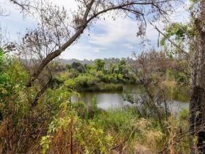 MLS #250036978SD image #0