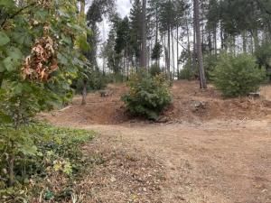 MLS #250037729SD image #0