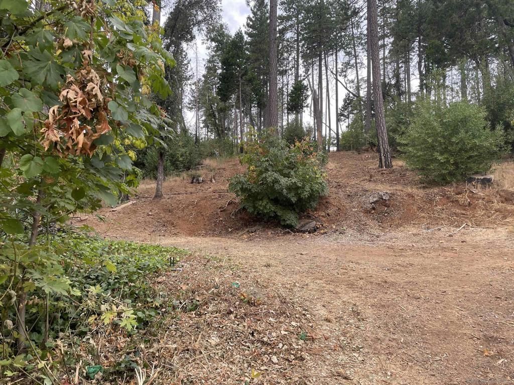 MLS #250037729SD image #0