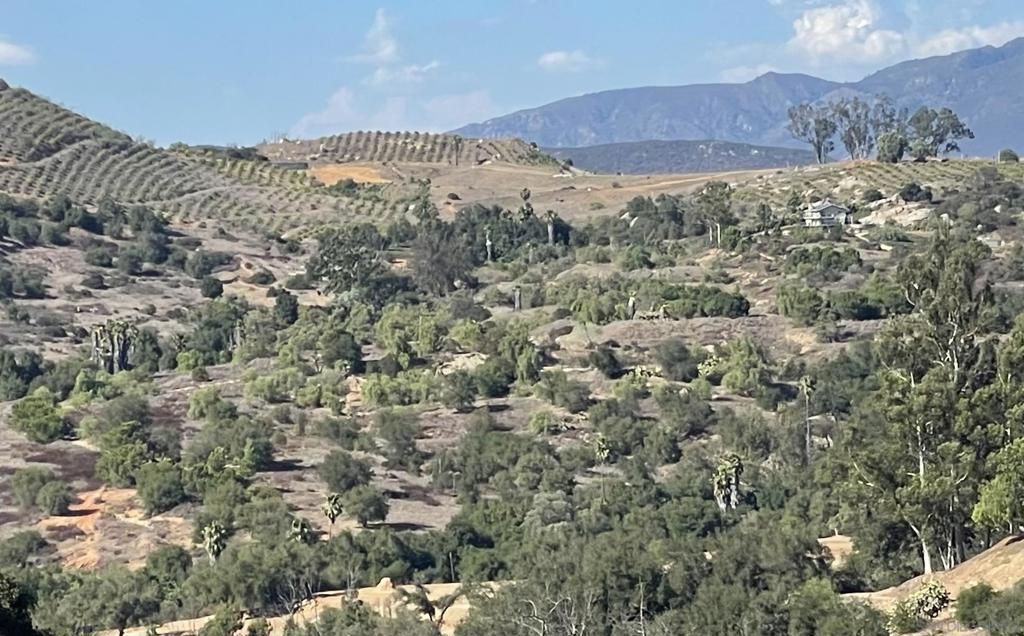 MLS #250039159SD image #0