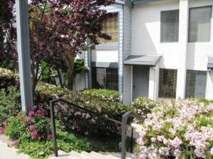 MLS #250039774SD image #0