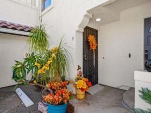 MLS #250040565SD image #0