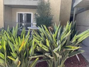 MLS #250040696SD image #0