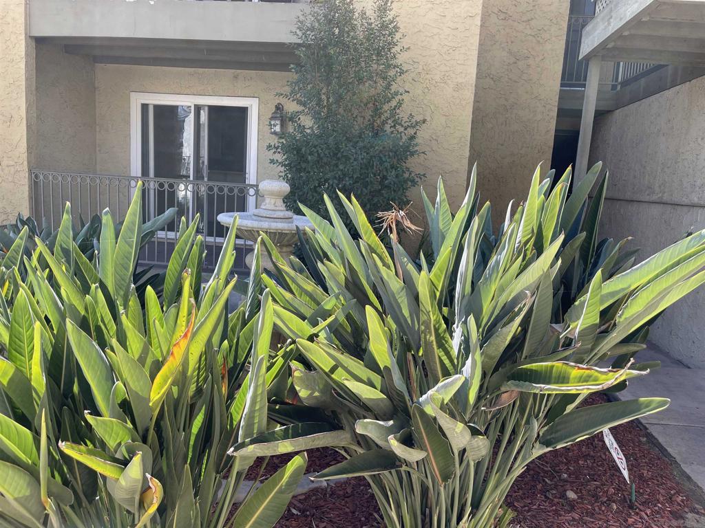 MLS #250040696SD image #0