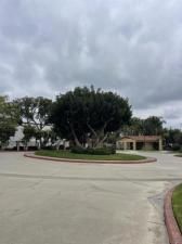 MLS #250041360SD image #0