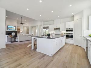 MLS #250041377SD image #0