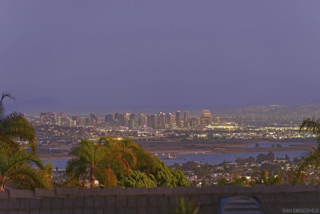 MLS #250041679SD image #0