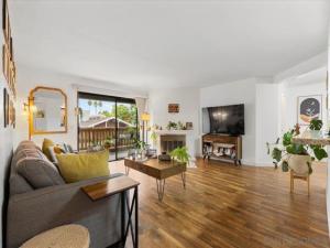 MLS #250041764SD image #0