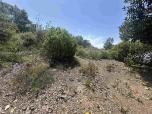 MLS #250040828SD image #0