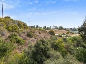 MLS #250042209SD image #0