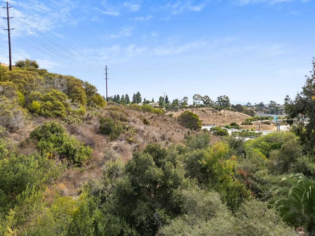 MLS #250042209SD image #0