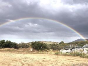 MLS #250042284SD image #0