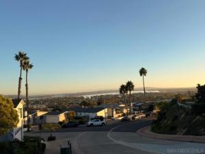 MLS #250043105SD image #0