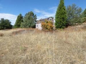 MLS #250043499SD image #0