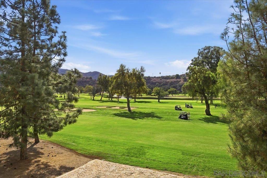 MLS #250043936SD image #0